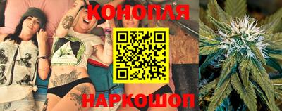 мяу мяу мука Абакан