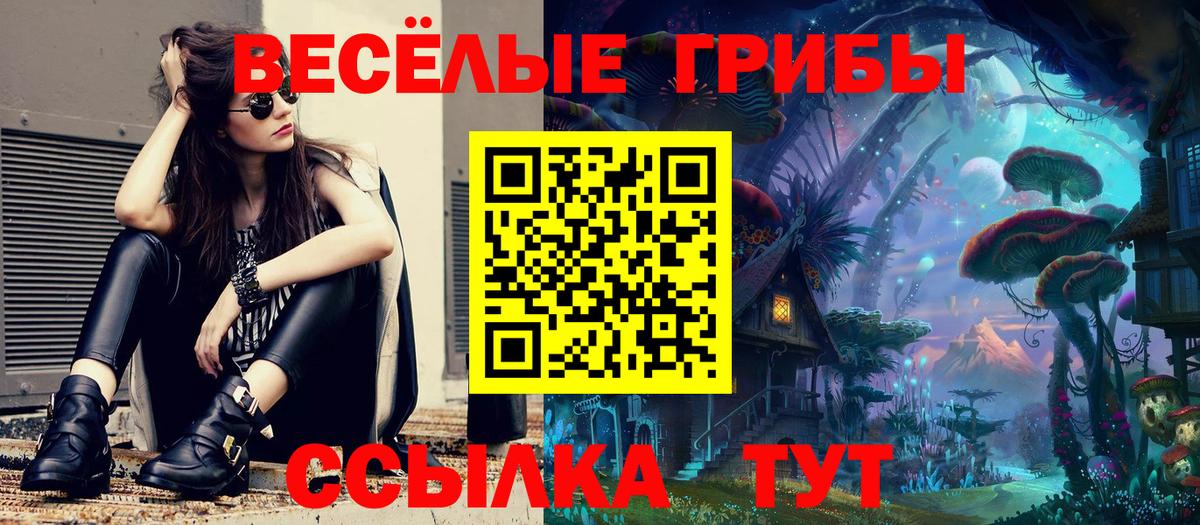 Апатиты  Галлюциногенные грибы Psilocybe  наркота  Вход с VPN 